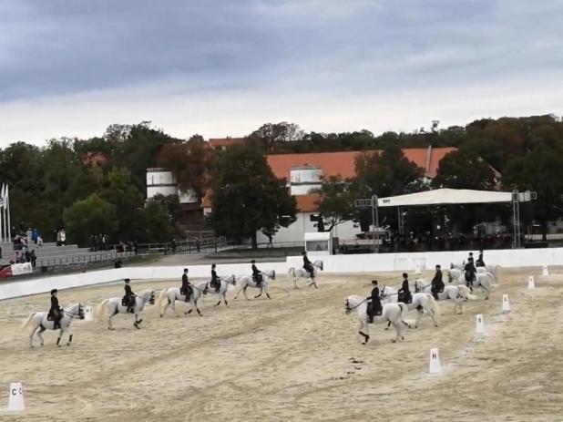 Apartma Jezevi Sezana Bagian luar foto