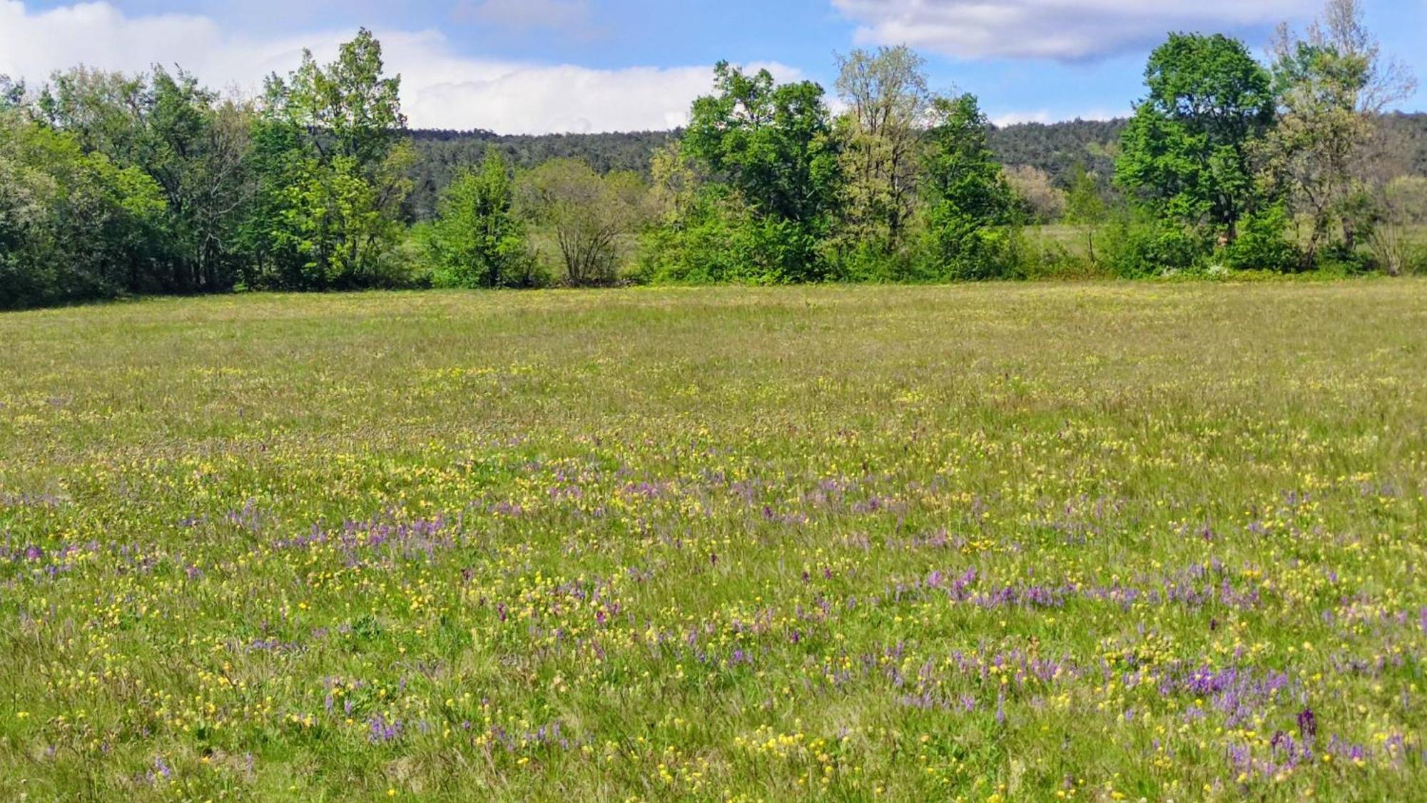 Apartma Jezevi Sezana Bagian luar foto