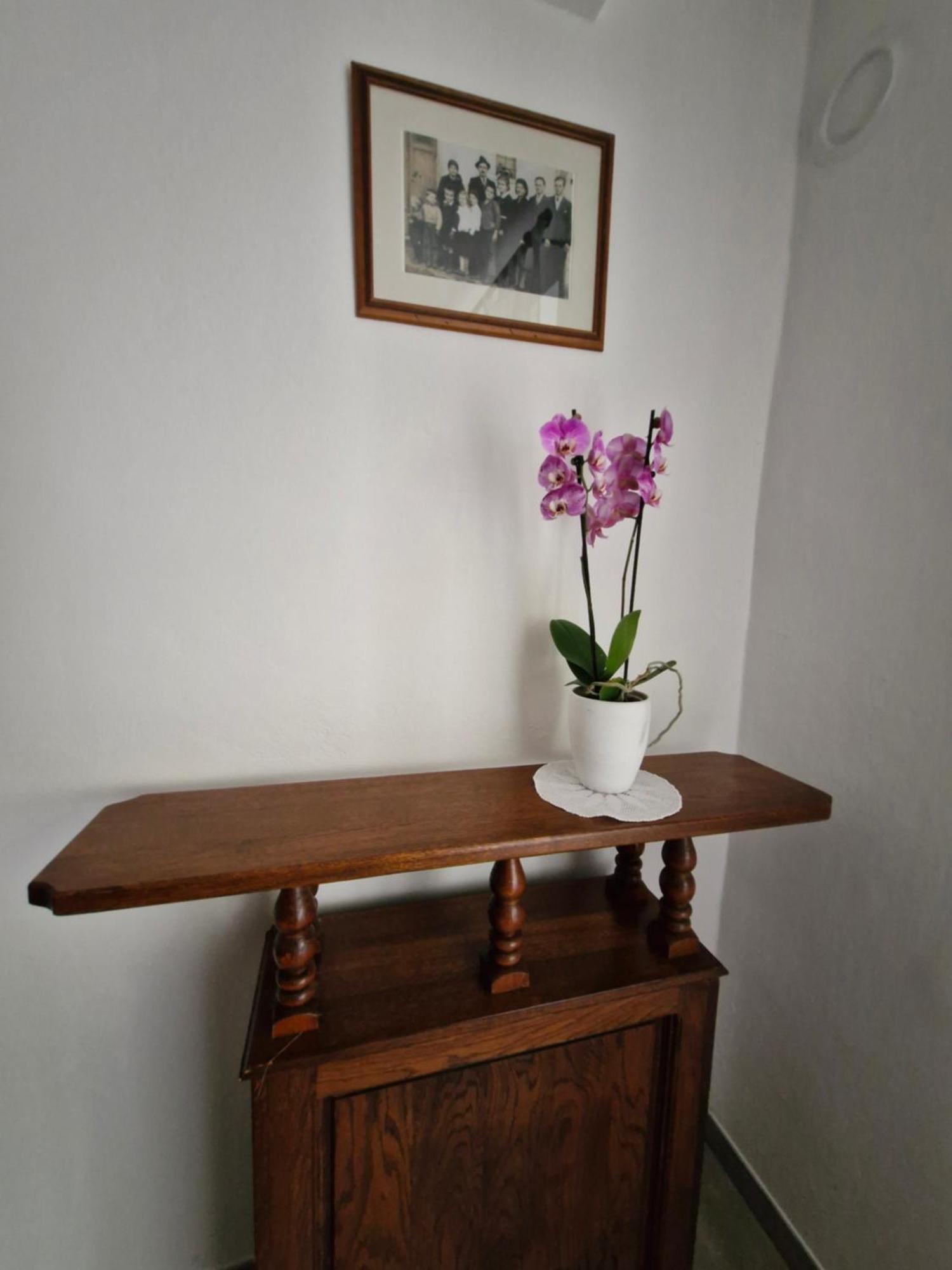 Apartma Jezevi Sezana Bagian luar foto